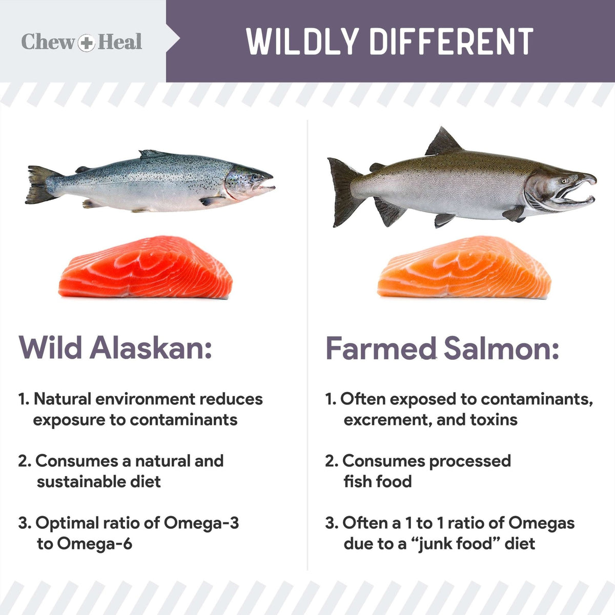Senior Wild Alaskan Salmon Limited Ingredient Soft Jerky Dog Treats - Eva Pet - Chew + Heal