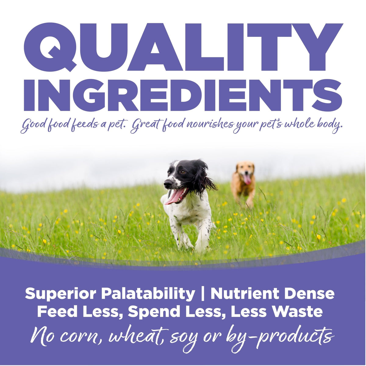 Small and Medium Breed Puppy - Eva Pet - NutriSource
