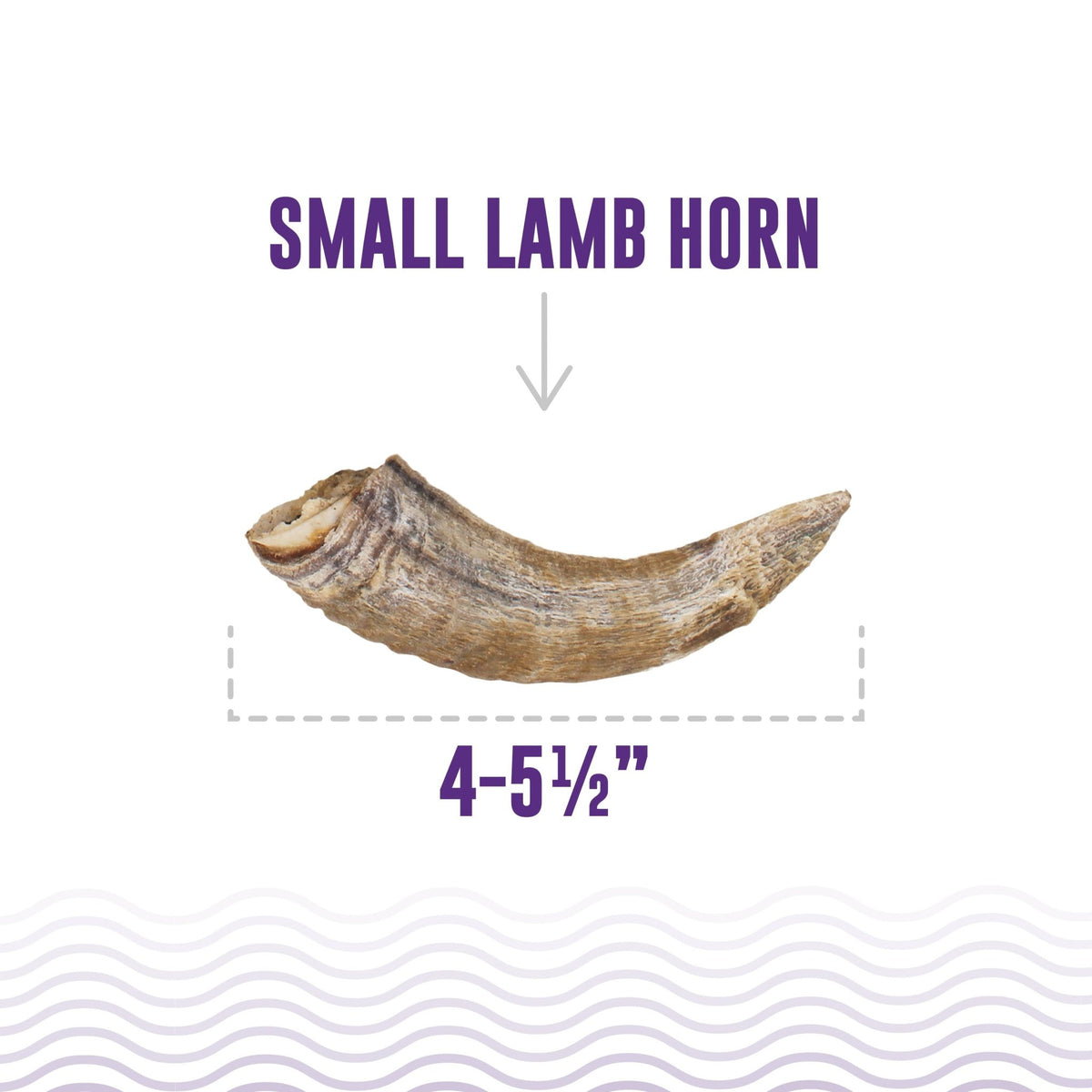 Small Lamb Horn with Marrow Dog Chew - Eva Pet - Icelandic+