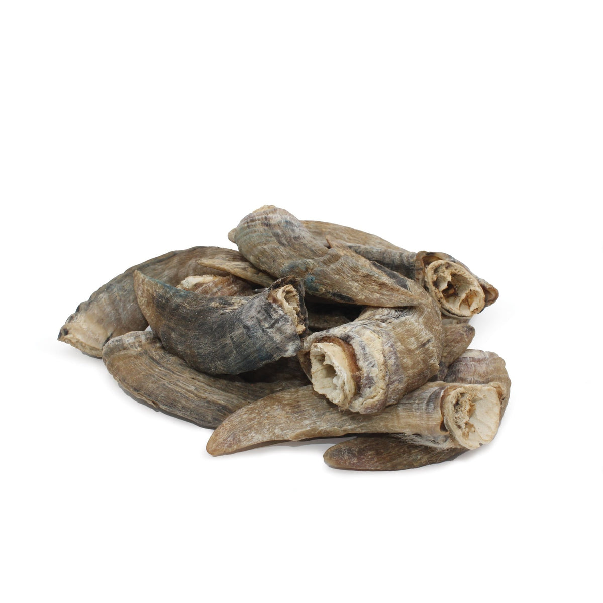 Small Lamb Horn with Marrow Dog Chew - Eva Pet - Icelandic+