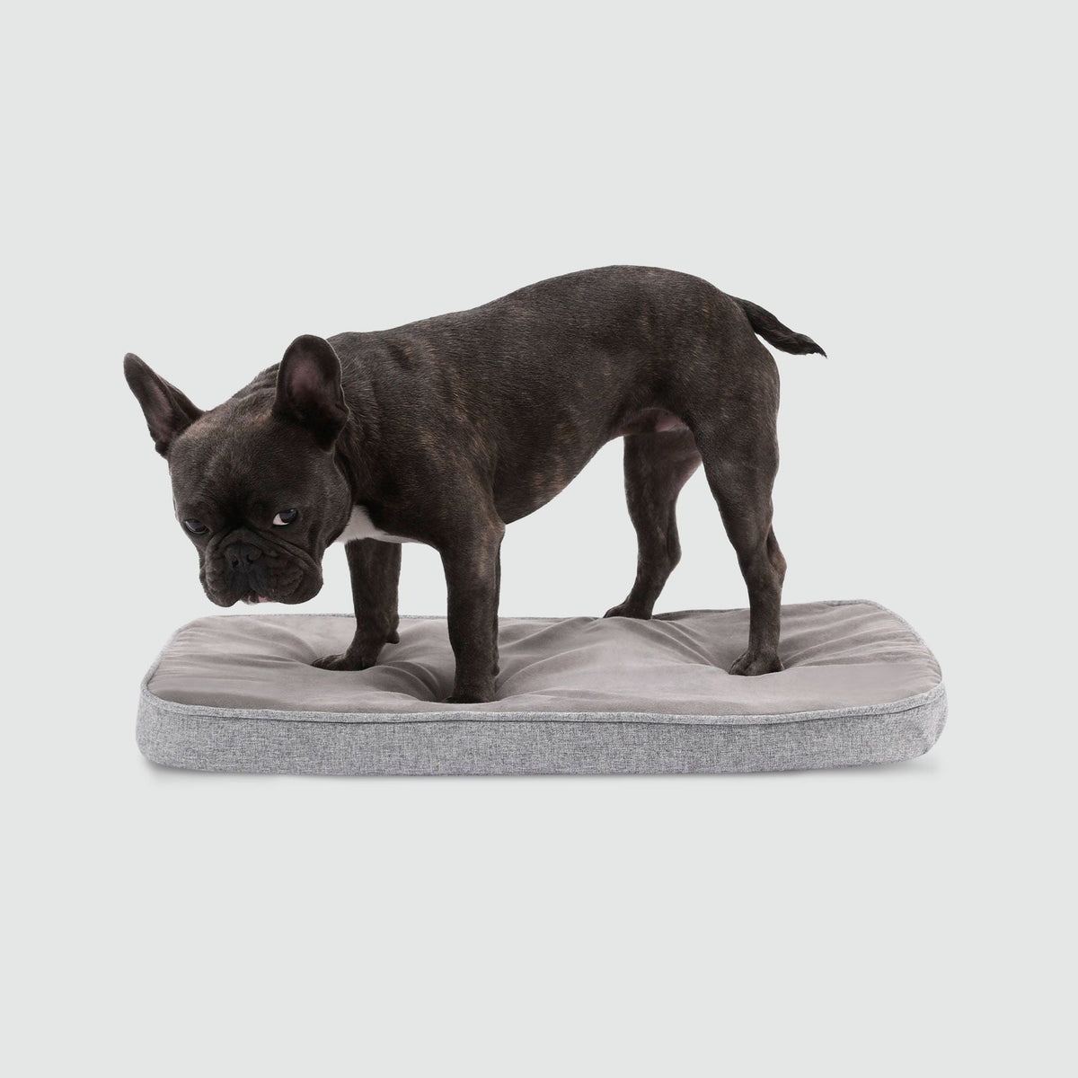 Snooz Revol Pad - Eva Pet - Diggs