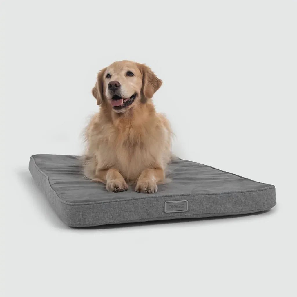 Snooz Revol Pad - Eva Pet - Diggs