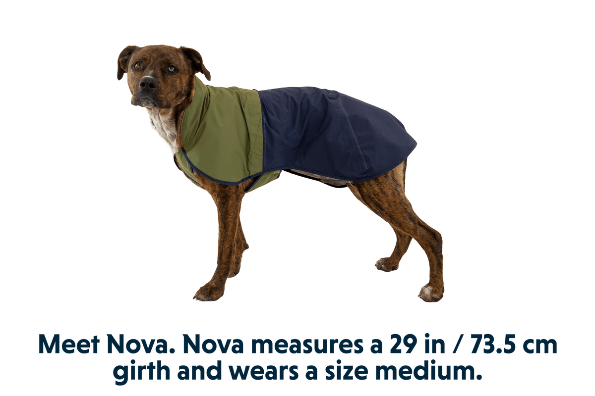 Sun Shower™ Dog Raincoat - Eva Pet - Ruff Wear Inc.