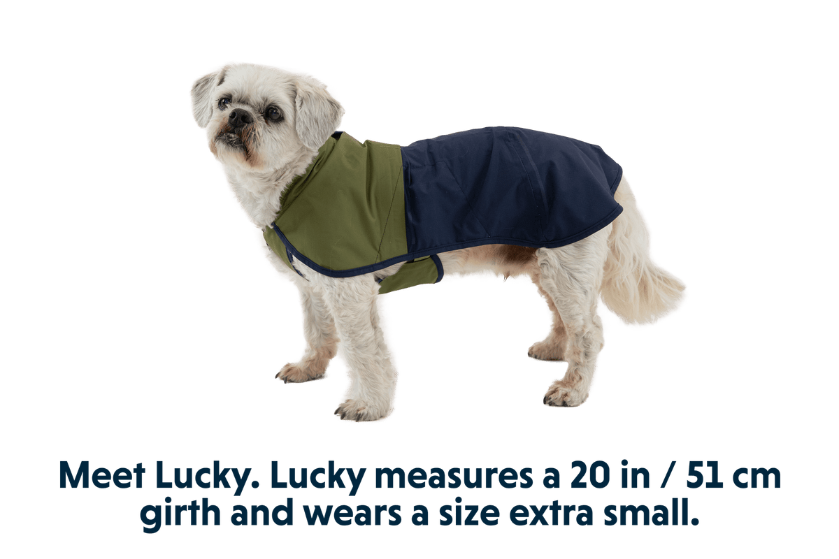 Sun Shower™ Dog Raincoat - Eva Pet - Ruff Wear Inc.