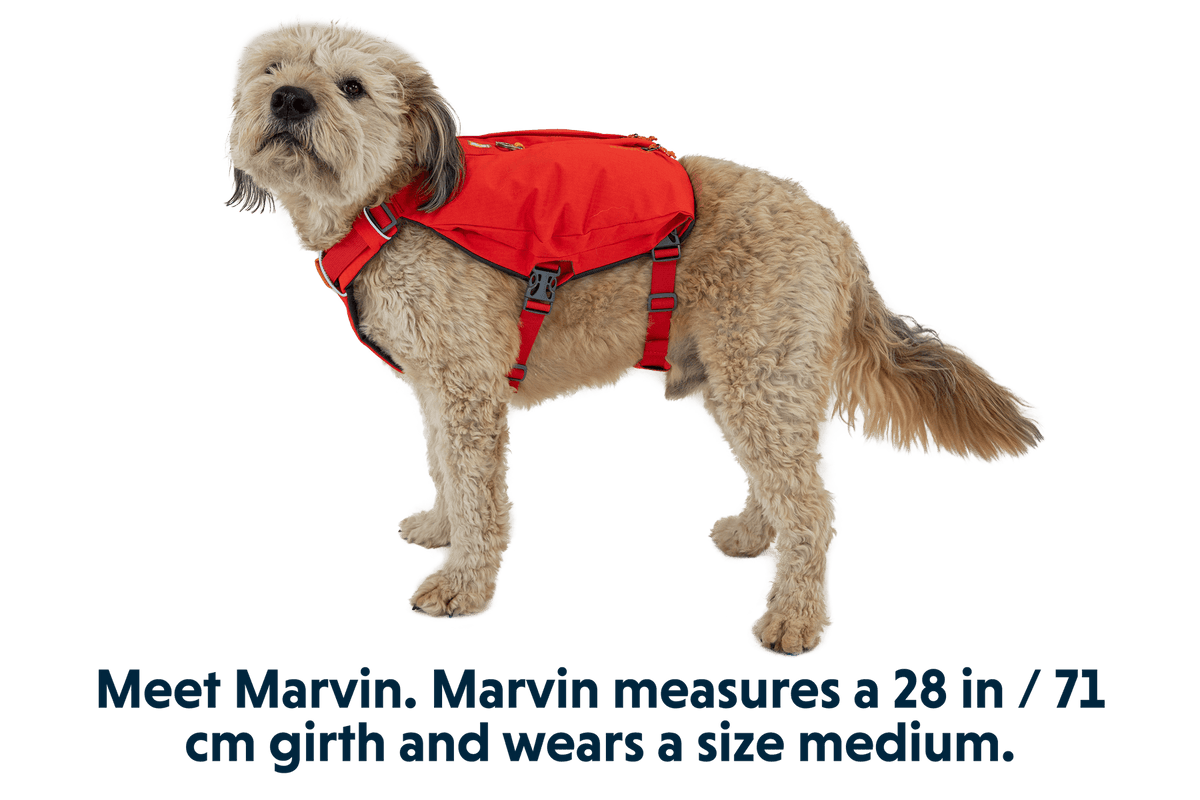 Switchbak™ Dog Harness - Eva Pet - Ruff Wear Inc.