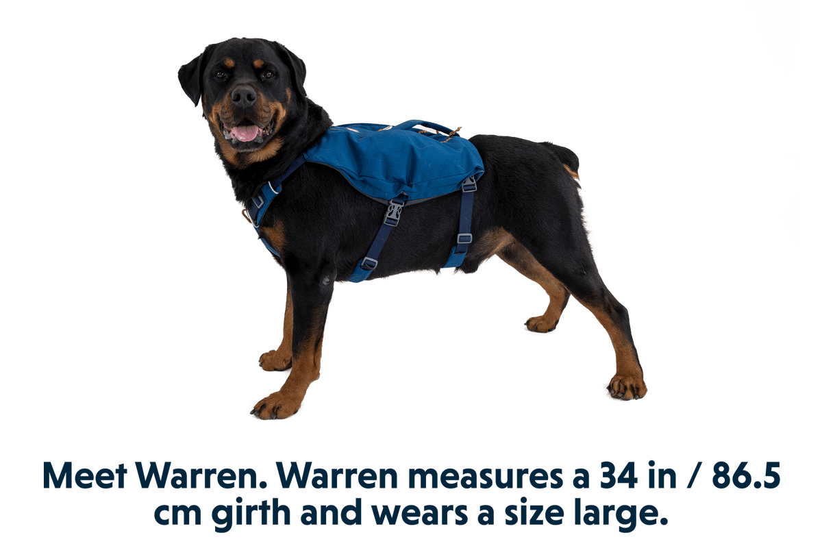Switchbak™ Dog Harness - Eva Pet - Ruff Wear Inc.