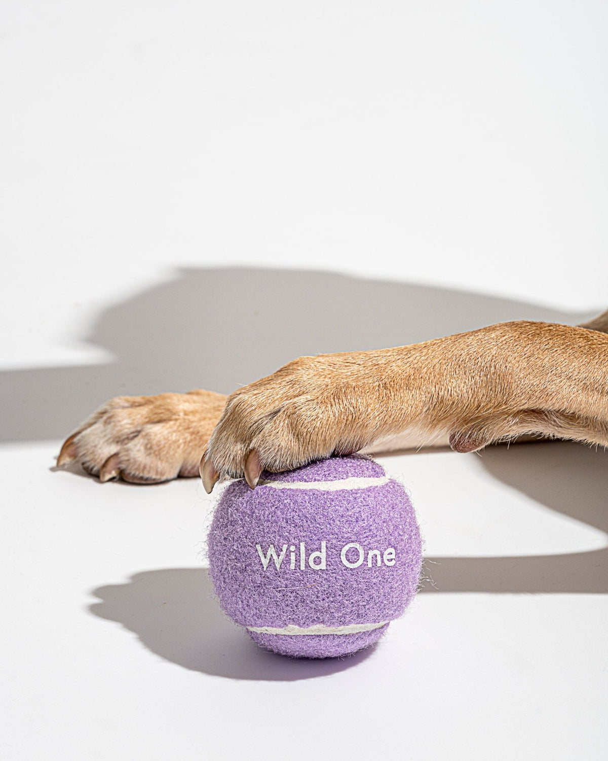 Tennis Balls - Eva Pet - Wild One