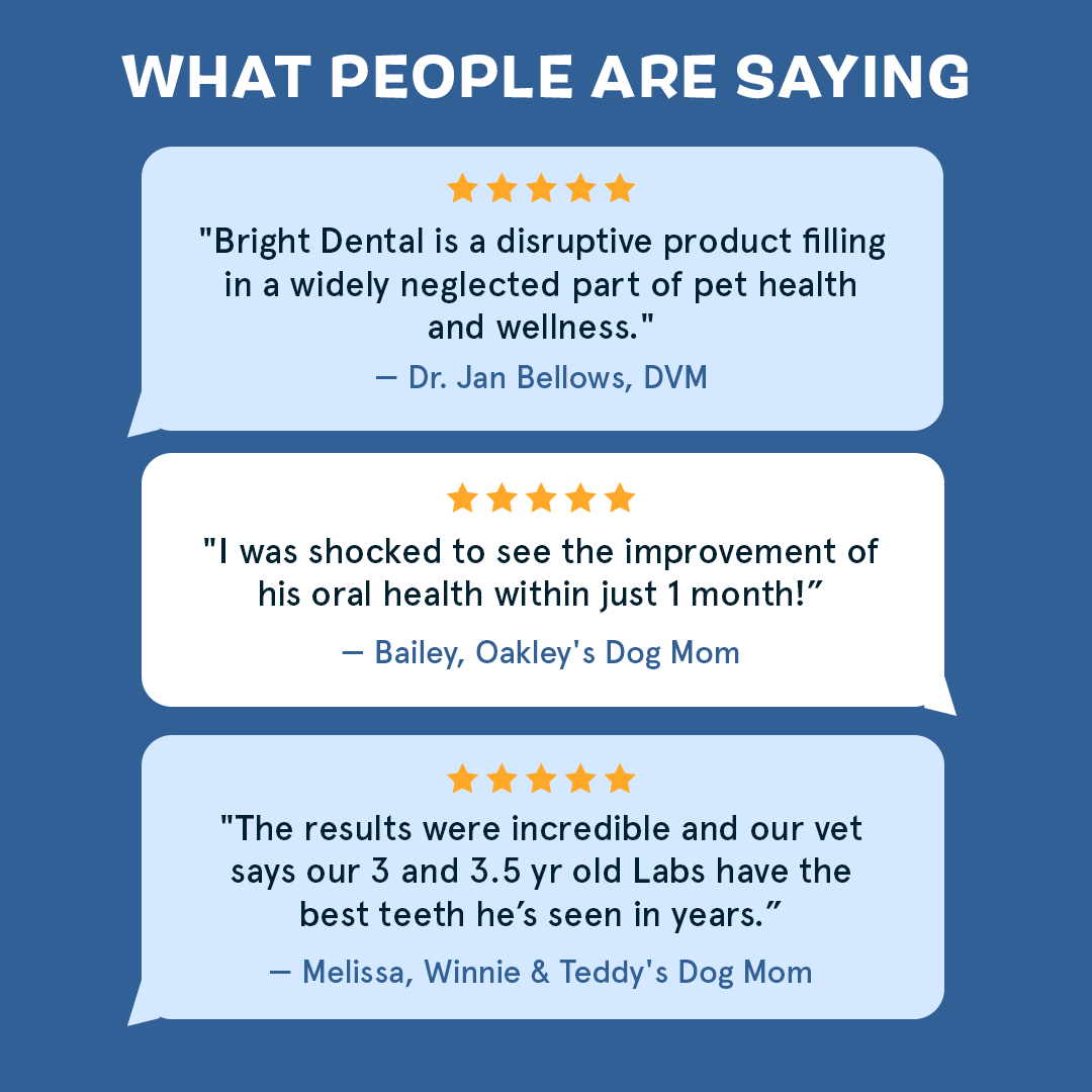 The Bright Dental Kit - Eva Pet - BARK