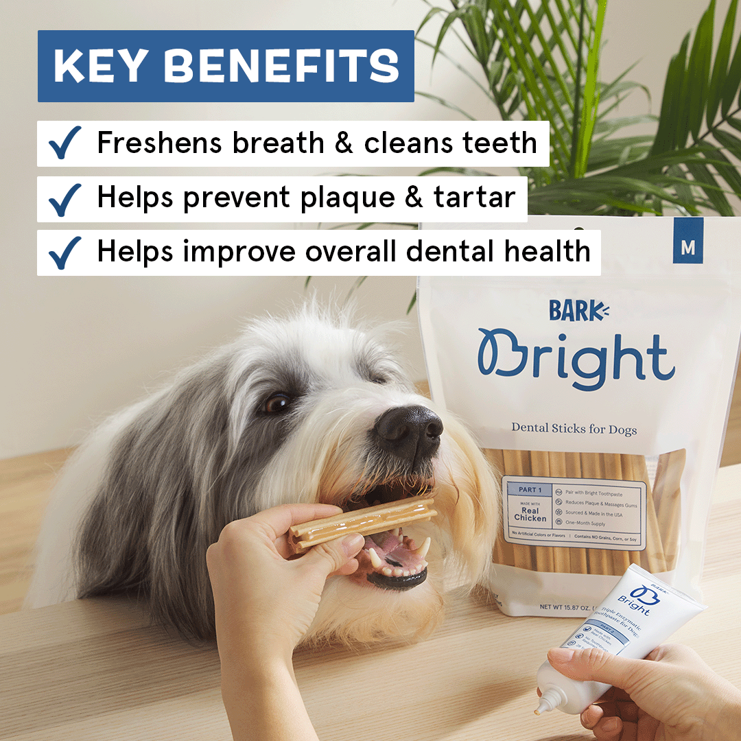 The Bright Dental Kit - Eva Pet - BARK