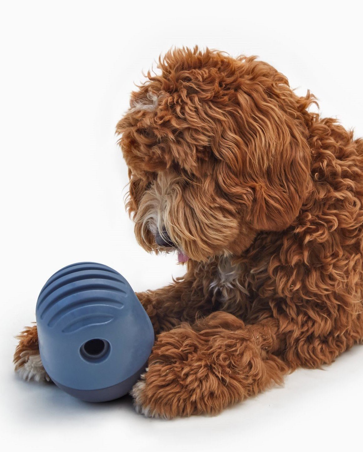 The Puffin™ Game - Eva Pet - Fable Pets