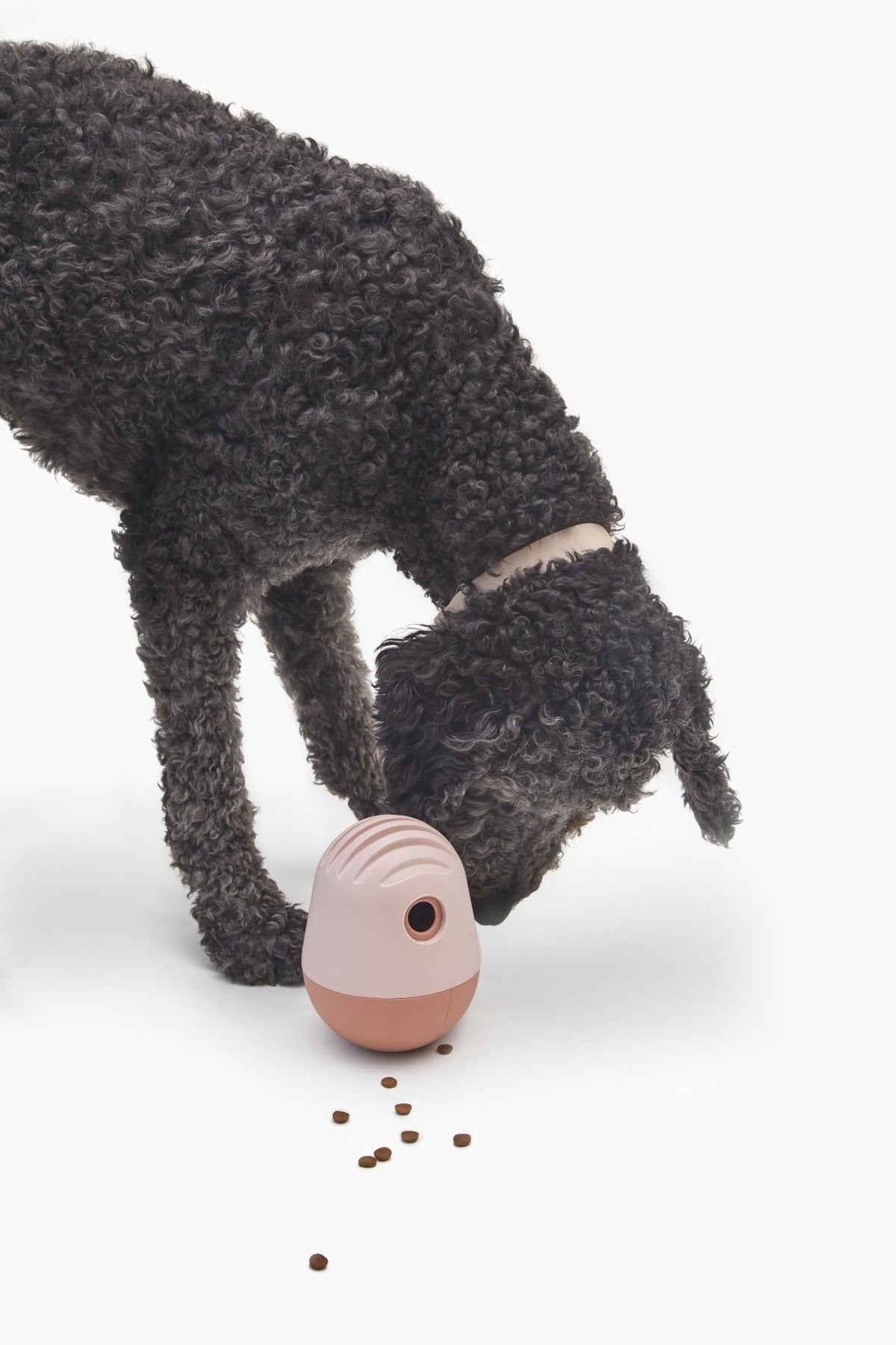 The Puffin™ Game - Eva Pet - Fable Pets
