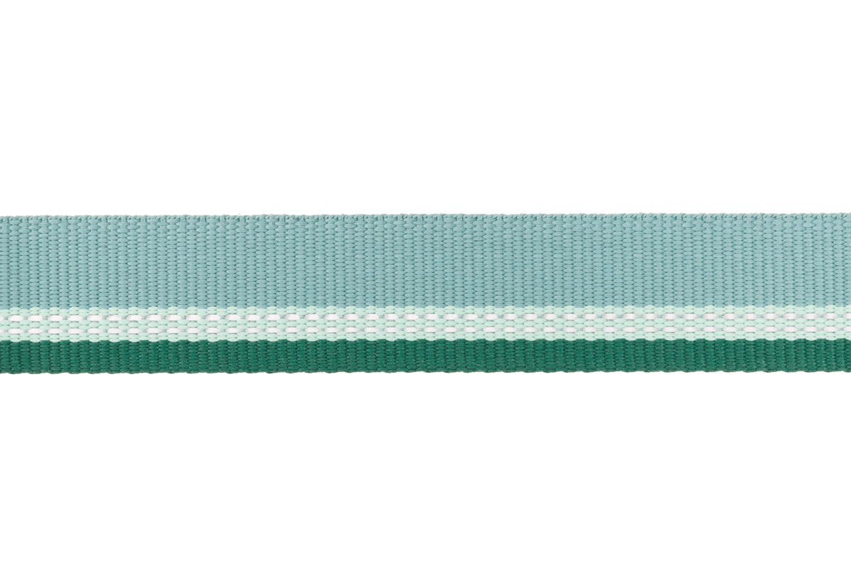 Top Rope™ Metal Buckle Dog Collar - Eva Pet - Ruff Wear Inc.