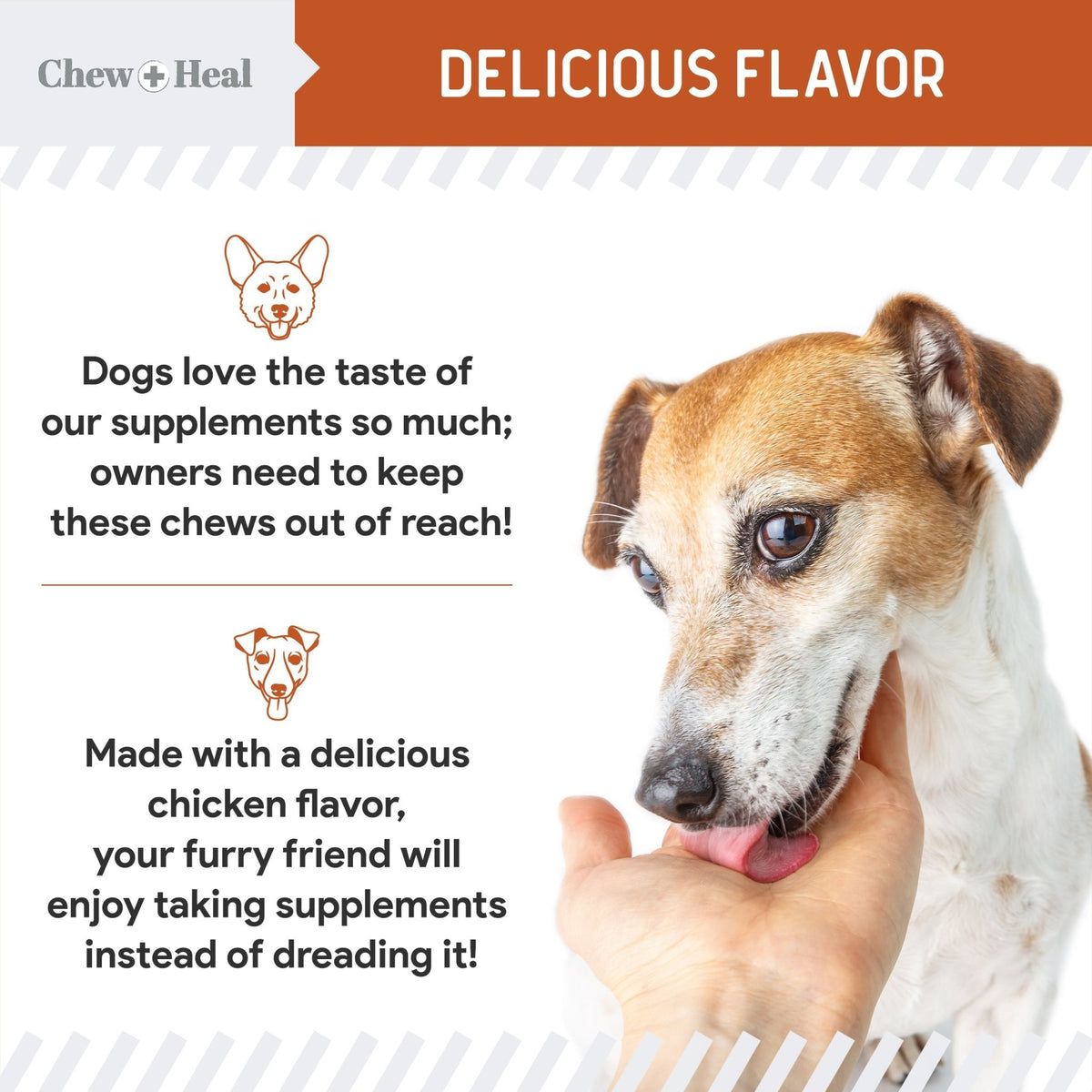 Travel - Sized Anxiety & Stress Chews Supplement for Dogs - Eva Pet - Chew + Heal