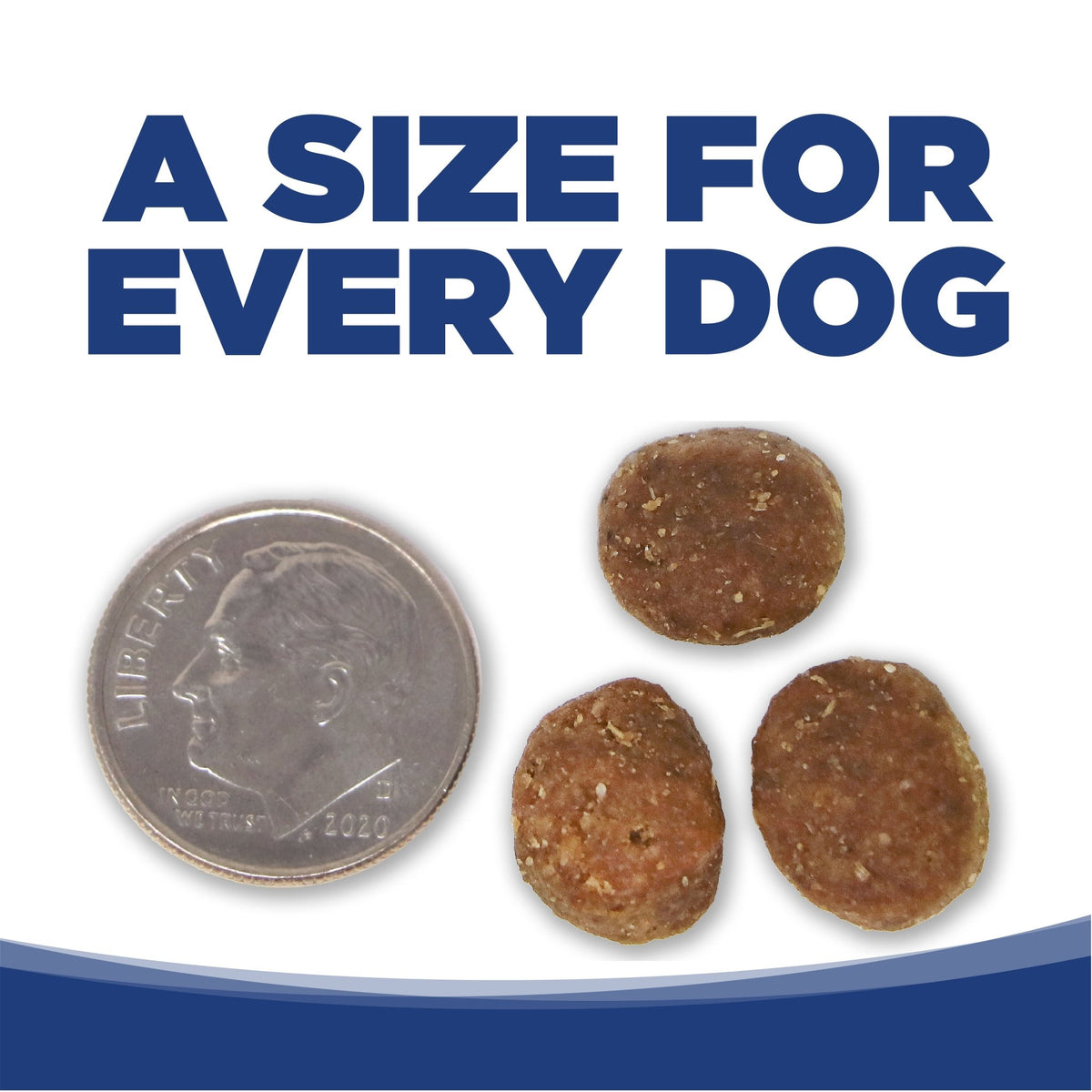 Trout & Rice - Eva Pet - NutriSource