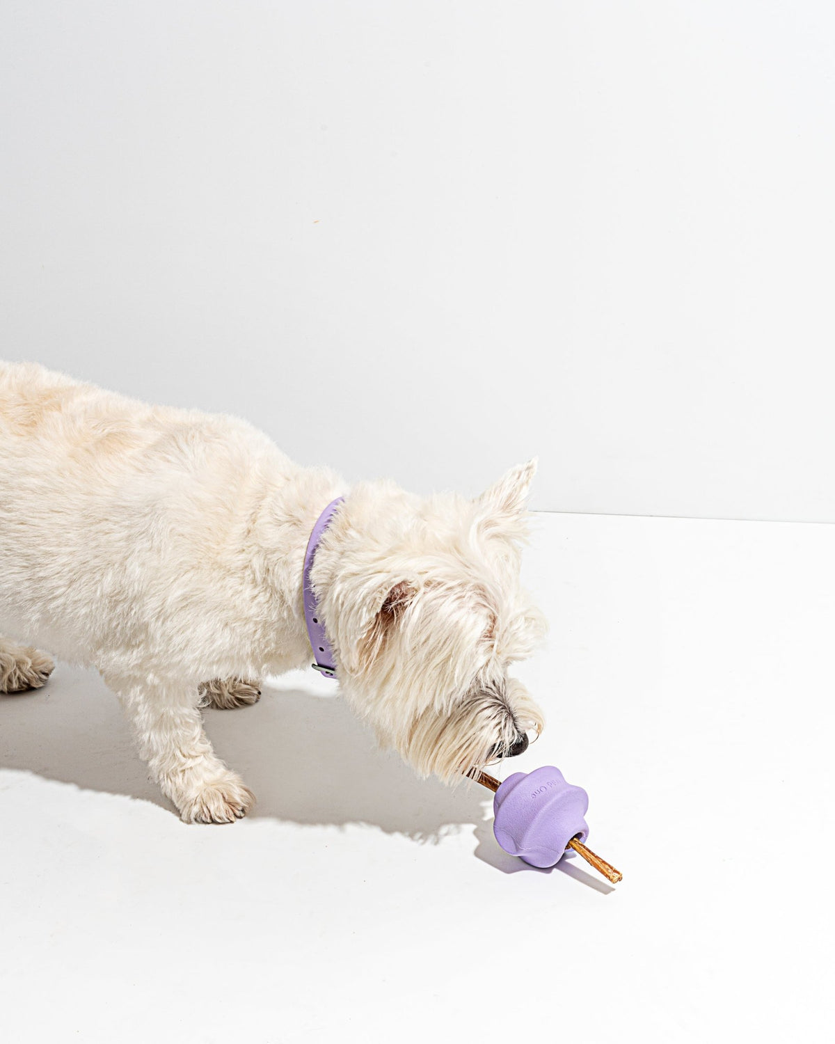 Twist Toss - Eva Pet - Wild One