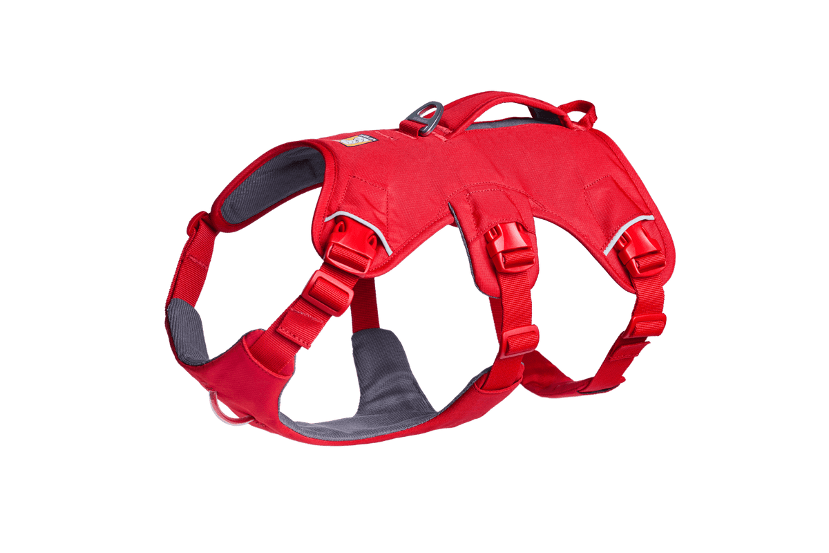 Web Master™ Dog Harness with Handle - Eva Pet - Ruff Wear Inc.