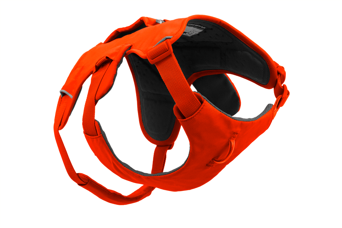 Web Master™ Dog Harness with Handle - Eva Pet - Ruff Wear Inc.