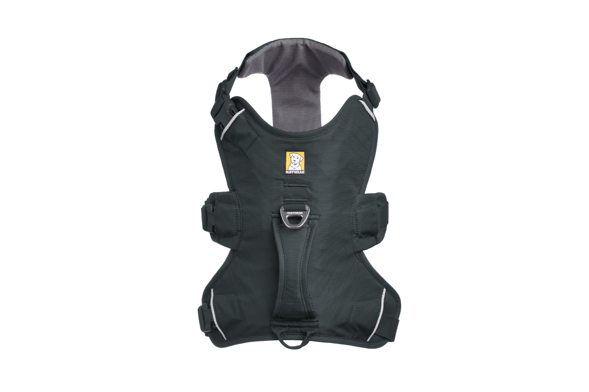 Web Master™ Dog Harness with Handle - Eva Pet - Ruff Wear Inc.