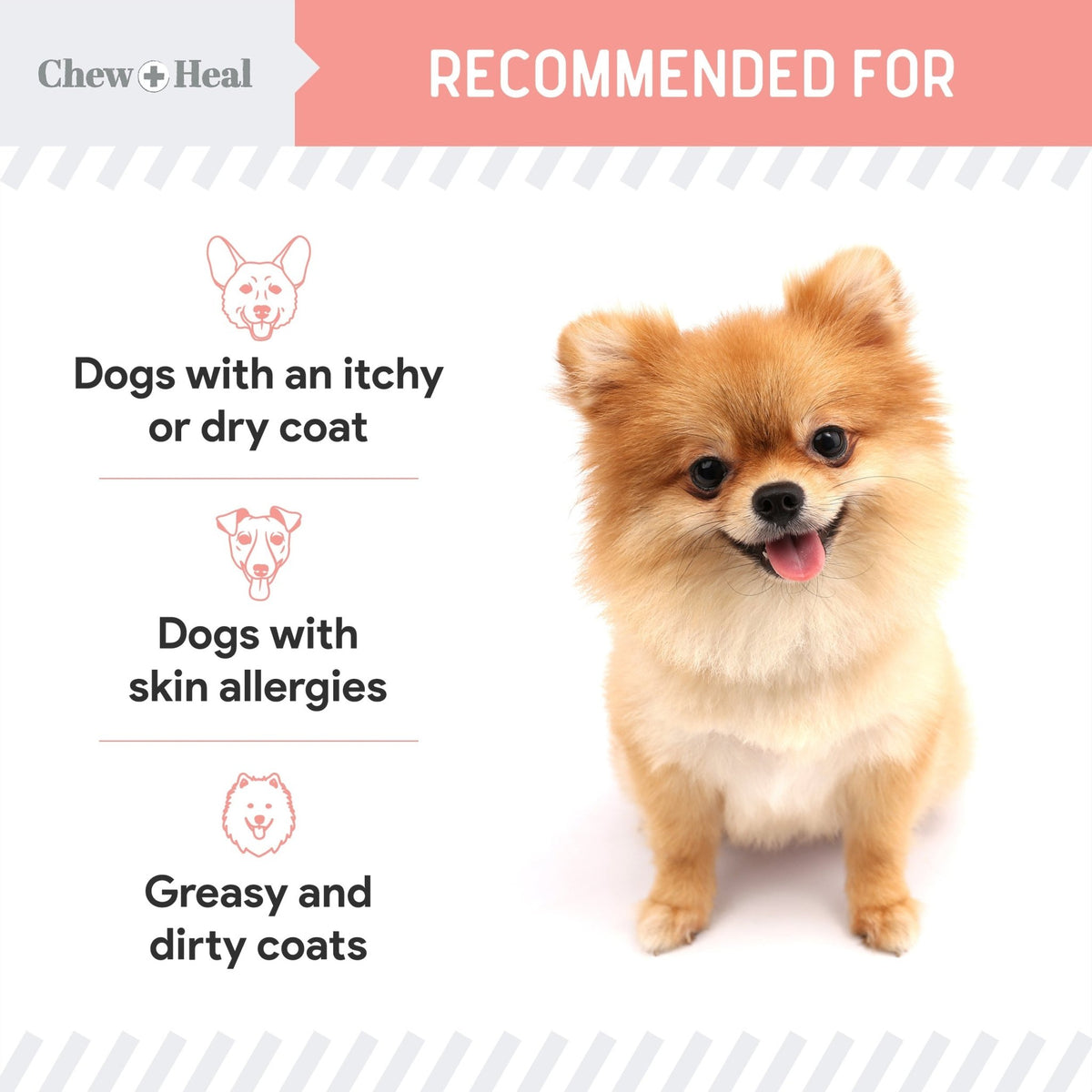 Wild Alaskan Omega Salmon Oil Formula Skin & Coat Liquid Supplement for Dogs - Eva Pet - Chew + Heal