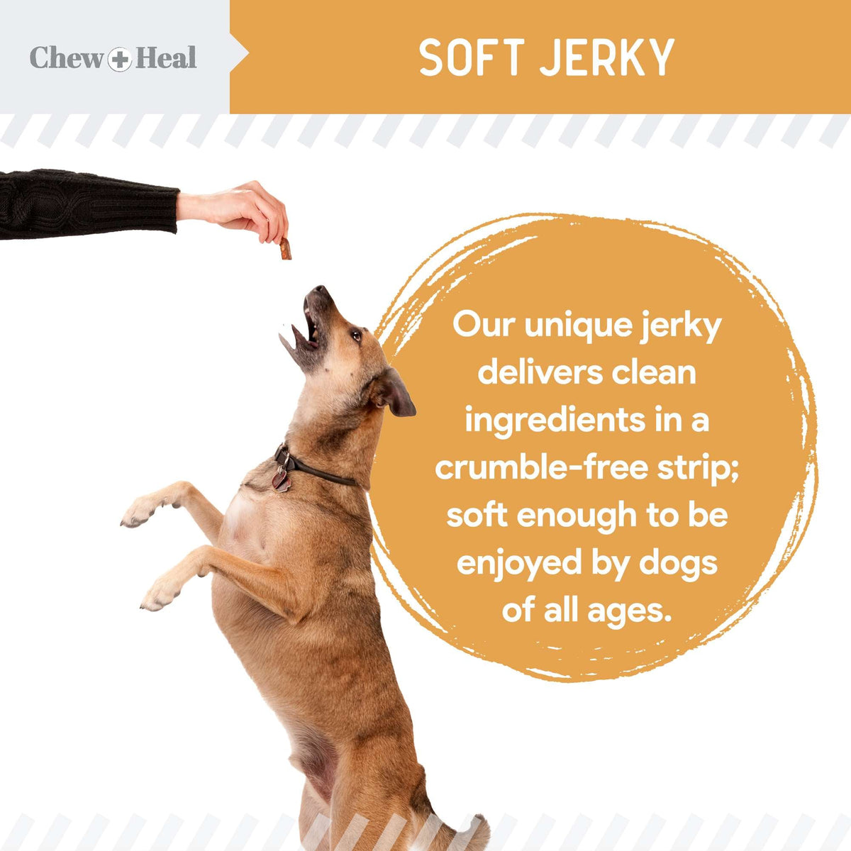 Wild Alaskan Omega Skin + Coat Salmon Soft Jerky Dog Treats - Eva Pet - Chew + Heal