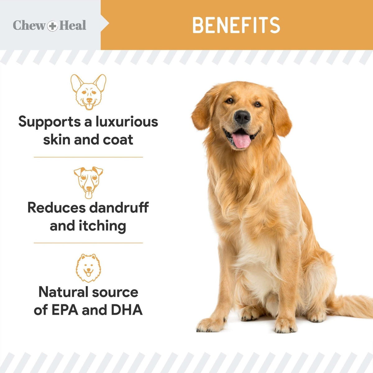 Wild Alaskan Omega Skin + Coat Salmon Soft Jerky Dog Treats - Eva Pet - Chew + Heal