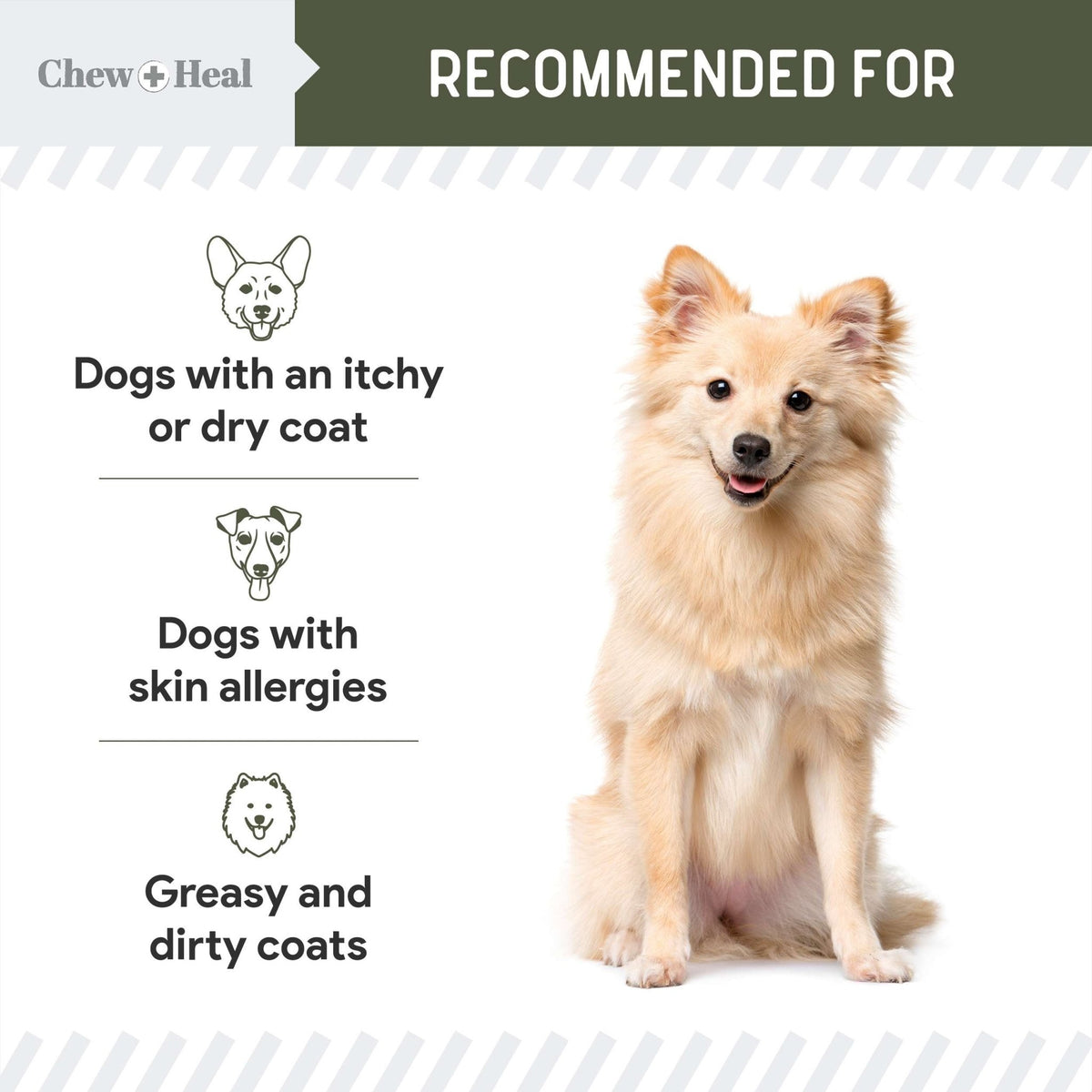 Wild - Caught Cod Liver Oil Salmon Oil Alternative Skin & Coat Liquid Supplement for Dogs - Eva Pet - Chew + Heal