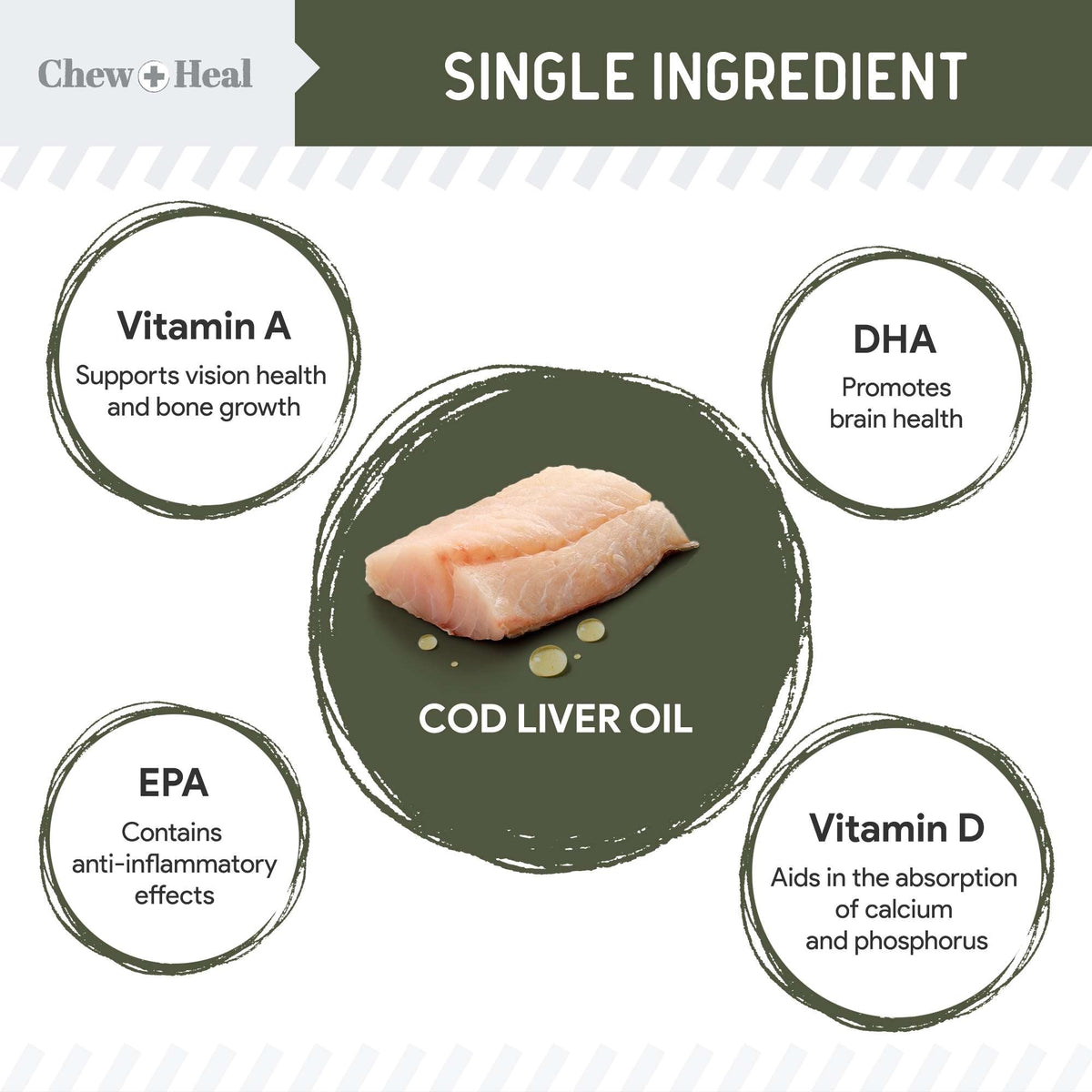 Wild - Caught Cod Liver Oil Salmon Oil Alternative Skin & Coat Liquid Supplement for Dogs - Eva Pet - Chew + Heal