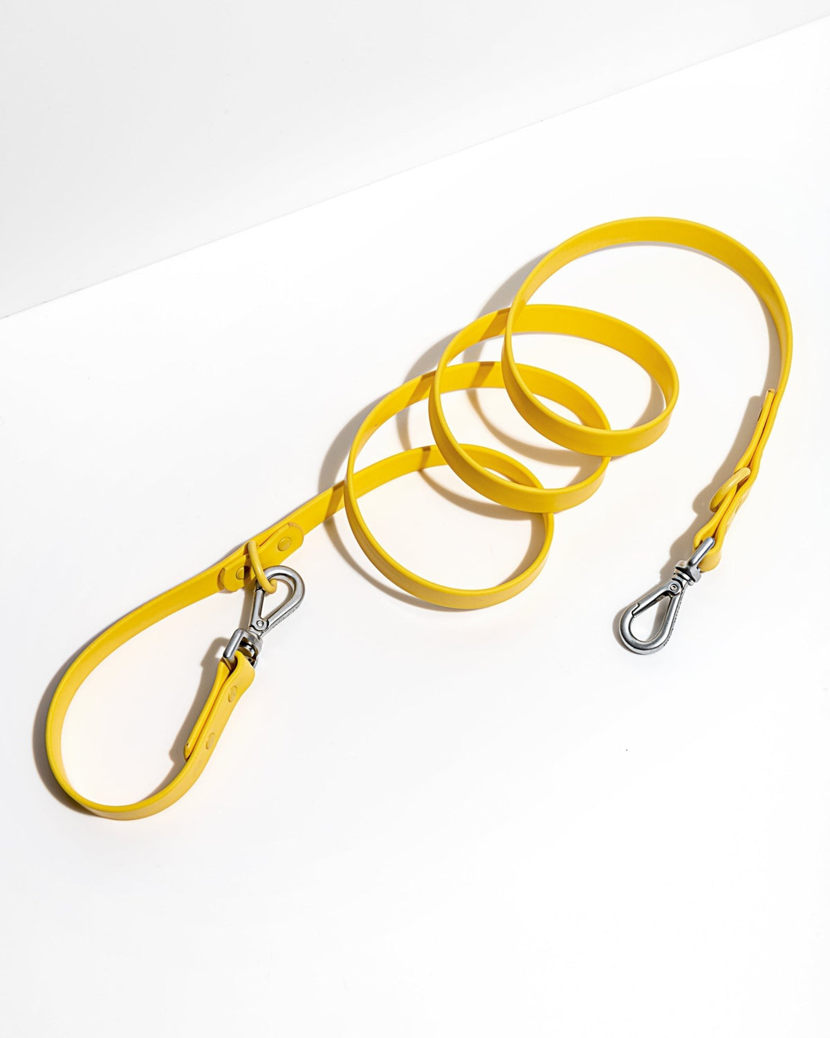 Wild One Dog Leash - Eva Pet - Wild One