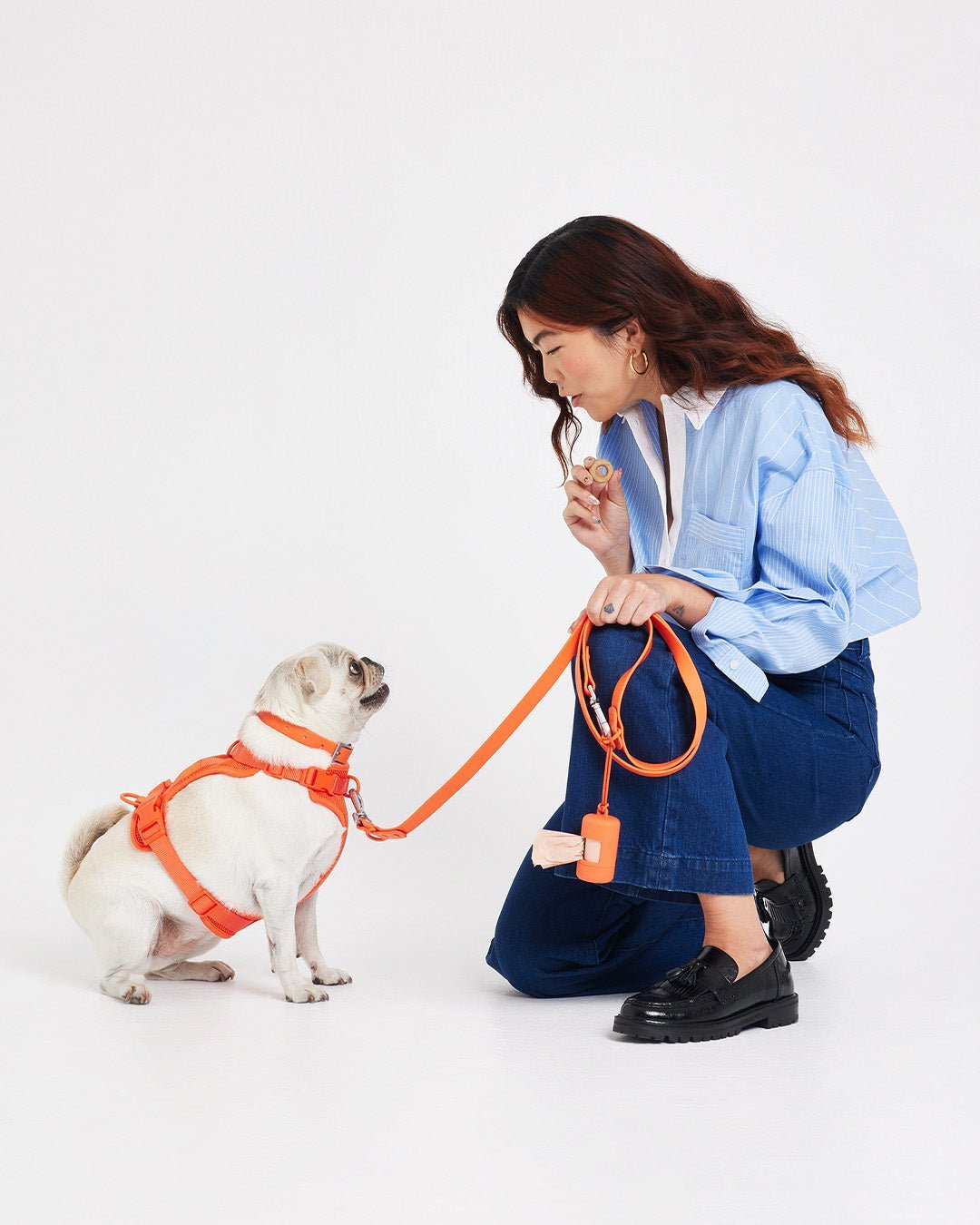 Wild One Dog Leash - Eva Pet - Wild One