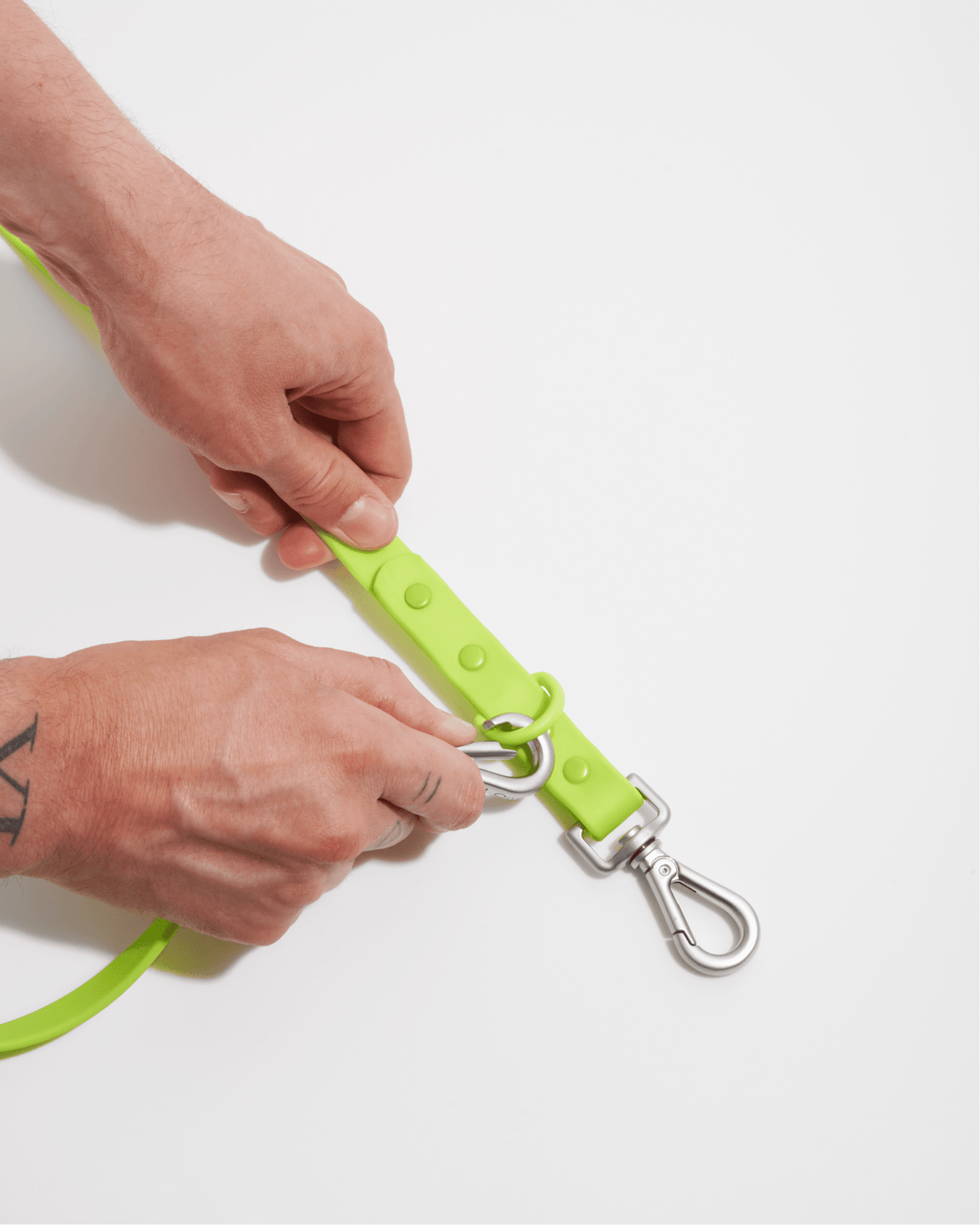 Wild One Dog Leash - Eva Pet - Wild One