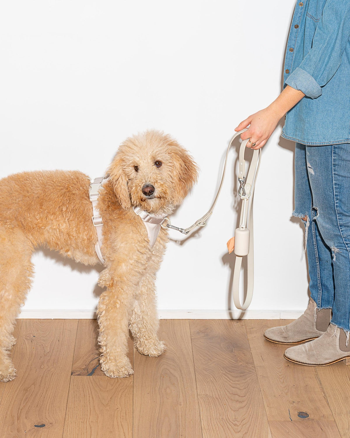 Wild One Dog Leash - Eva Pet - Wild One