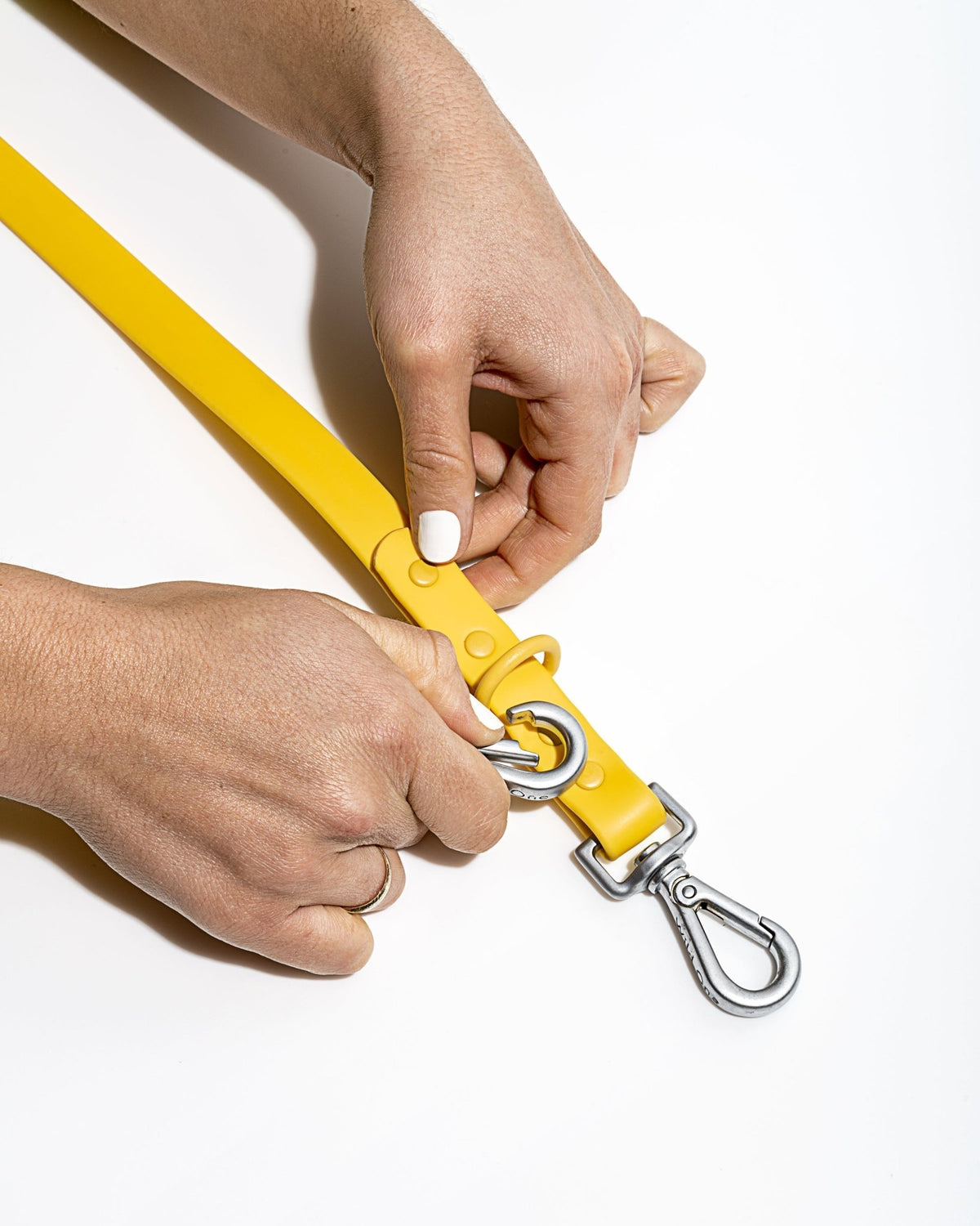 Wild One Dog Leash - Eva Pet - Wild One