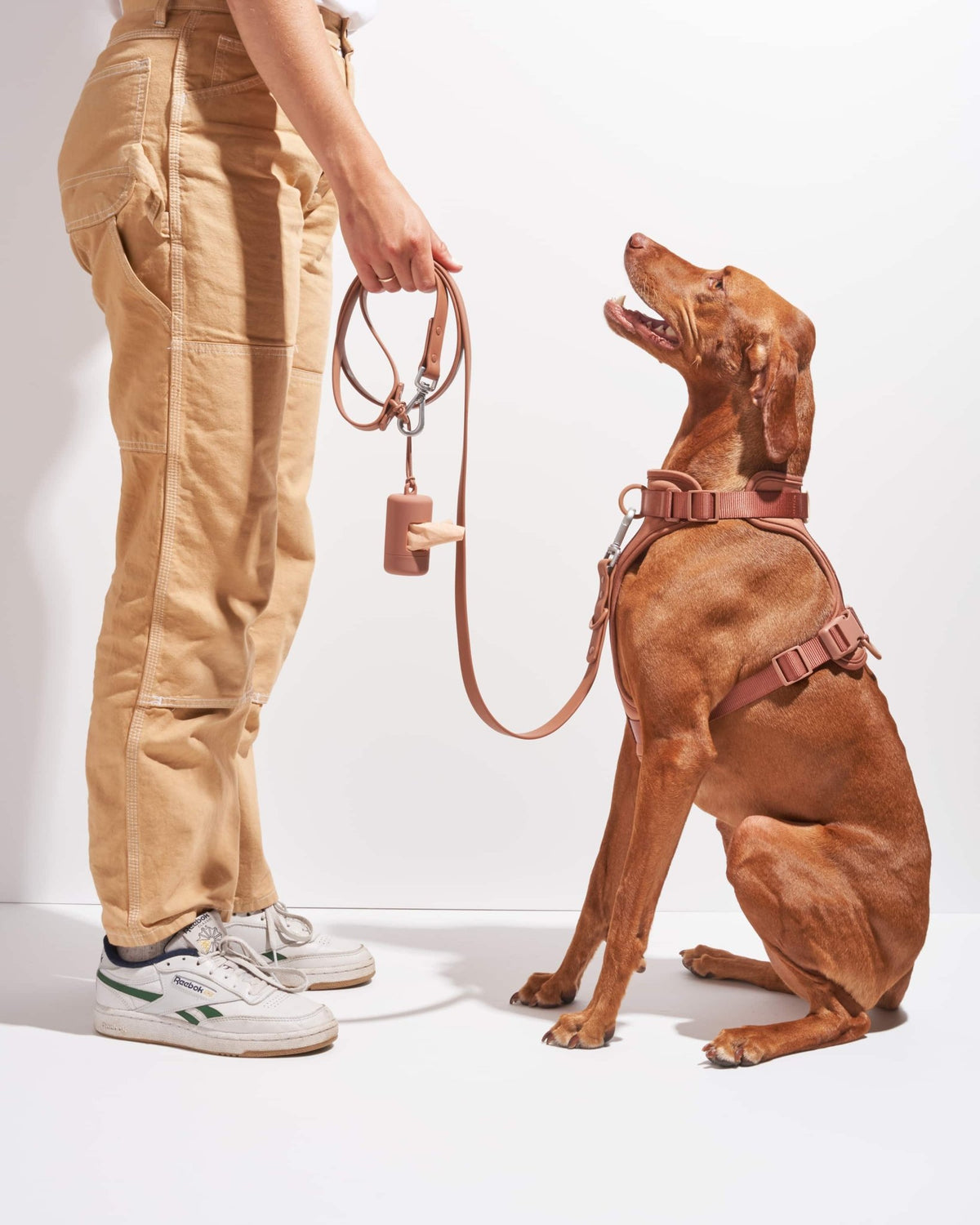 Wild One Dog Leash - Eva Pet - Wild One