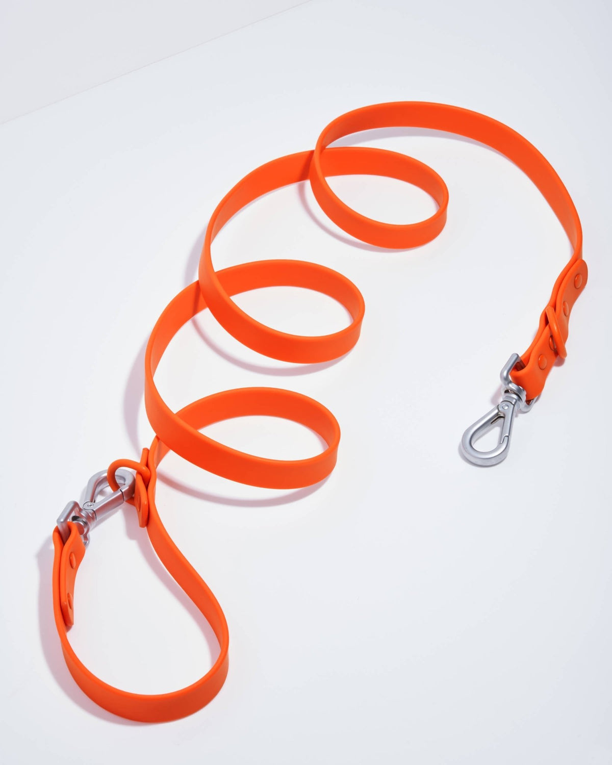 Wild One Dog Leash - Eva Pet - Wild One