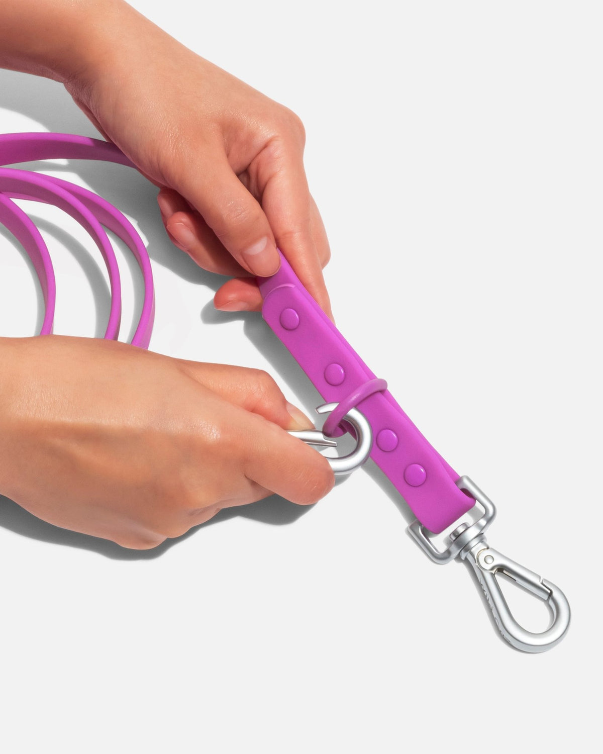 Wild One Dog Leash - Eva Pet - Wild One